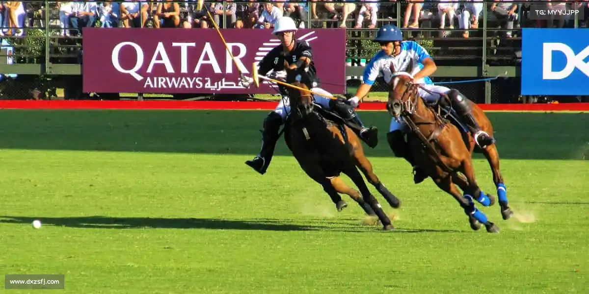 必一·体育(b-sports)🏋️挑战极限,突破自我 —— 这里是你超越平凡的起点!