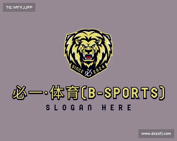 介绍必一·体育(b-sports)